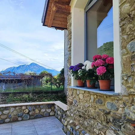 Villa Olia House